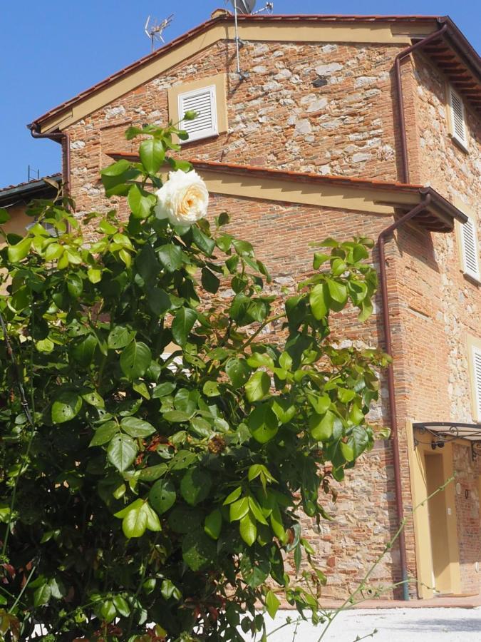 Uliveto Terme La Casa Di Samarcanda 빌라 외부 사진