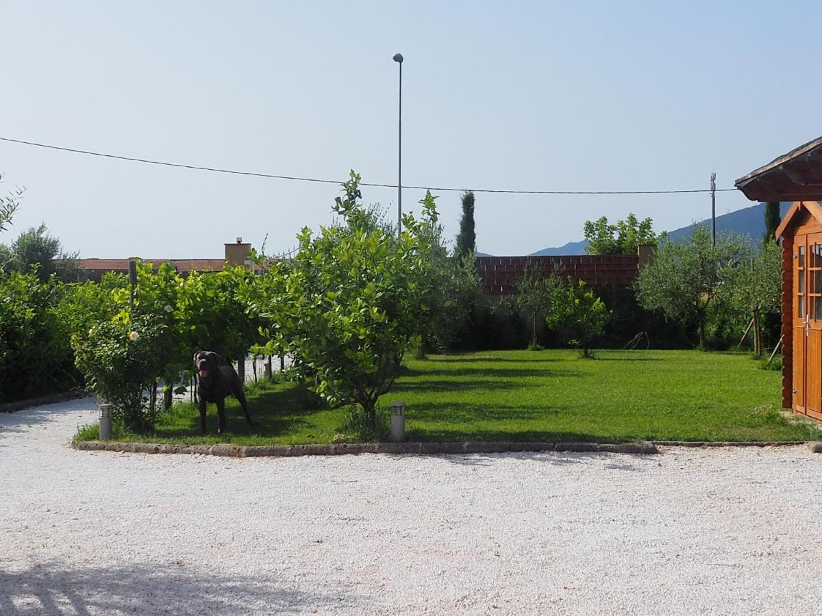 Uliveto Terme La Casa Di Samarcanda 빌라 외부 사진