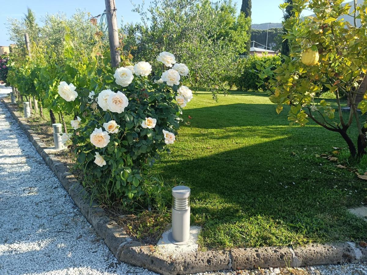 Uliveto Terme La Casa Di Samarcanda 빌라 외부 사진